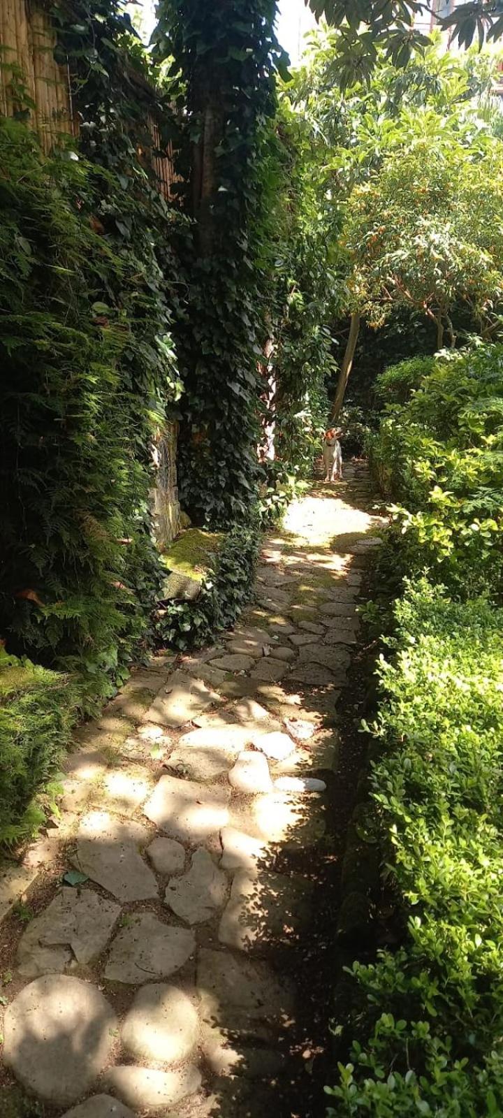 L'Antica Dimora Villa Meta Exteriör bild