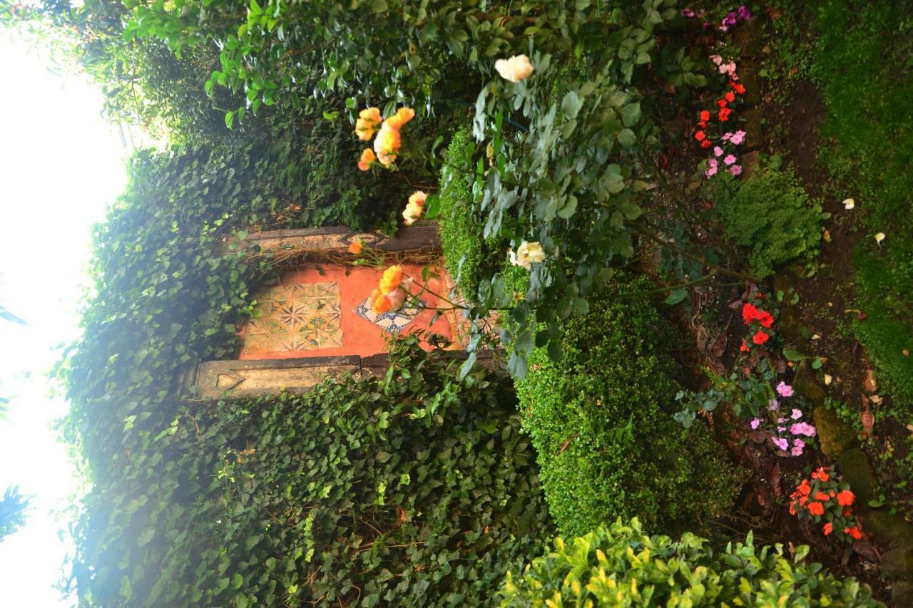 L'Antica Dimora Villa Meta Exteriör bild